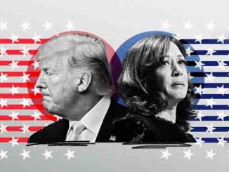 Trump vs. Harris stars